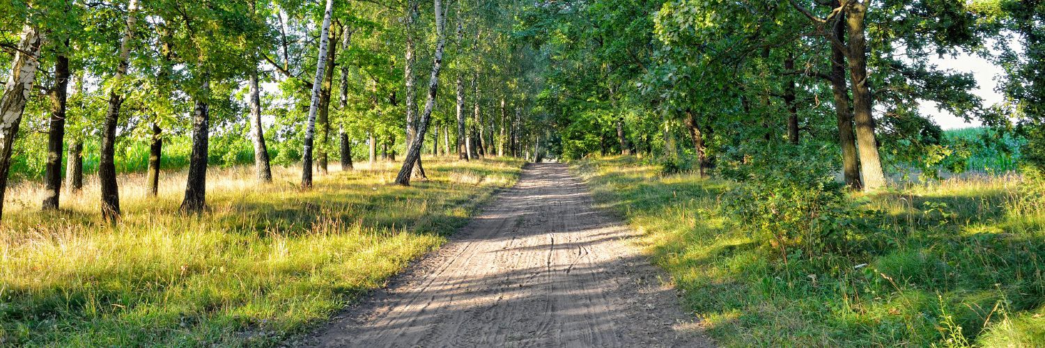 Skovvej